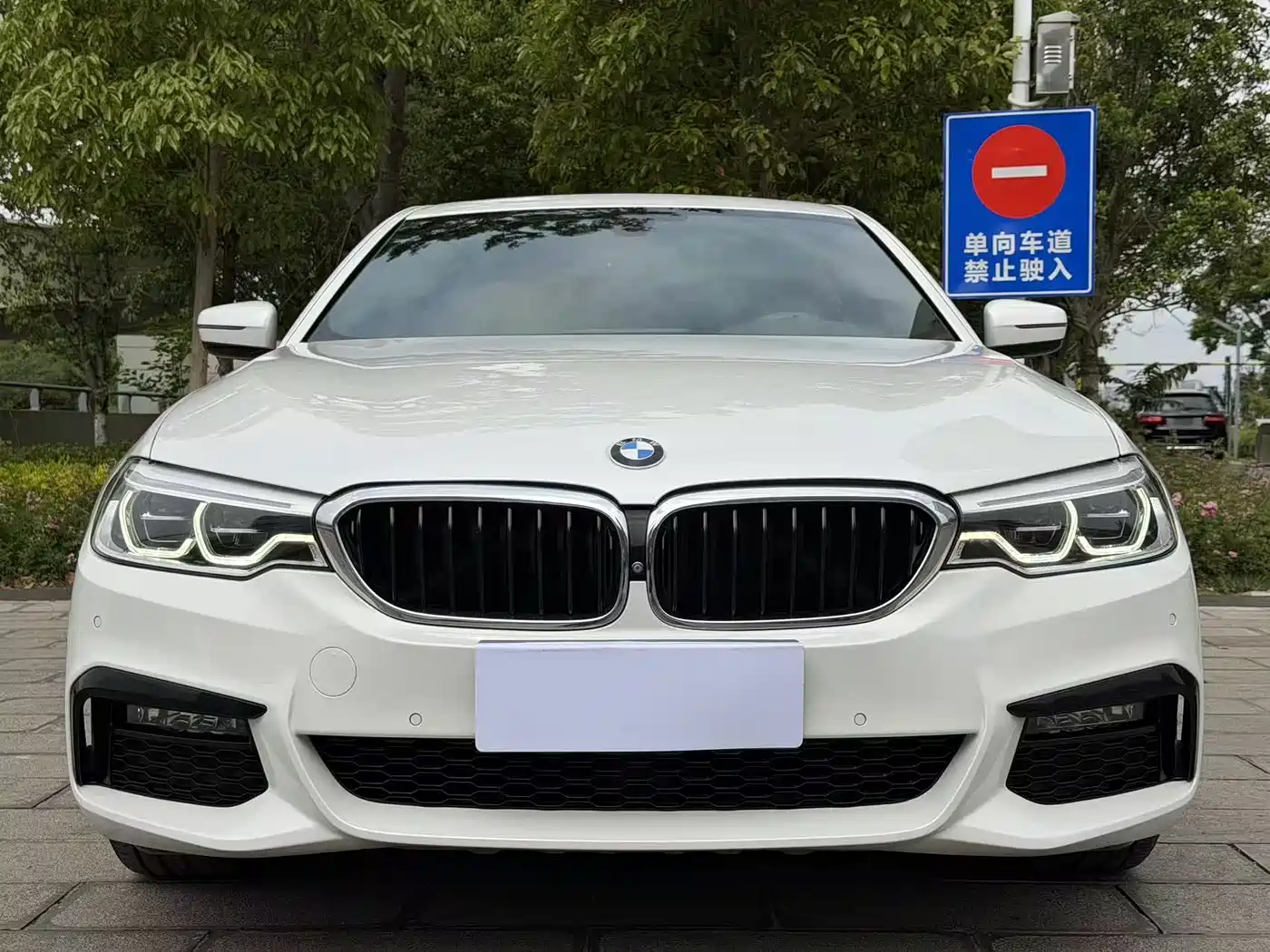 BMW 5 Series 2019 530Li Premium M Sport Package фото 30