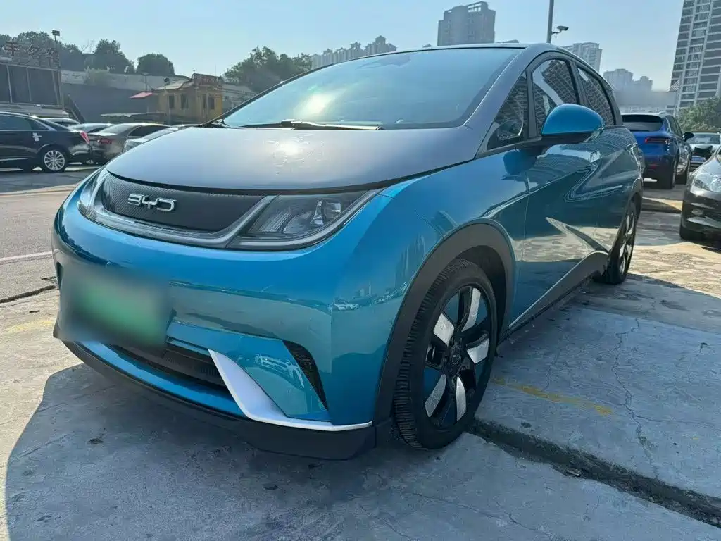 BYD Dolphin 2021 401km Knight Edition