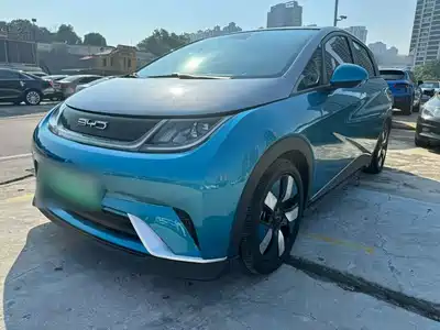 BYD Dolphin
