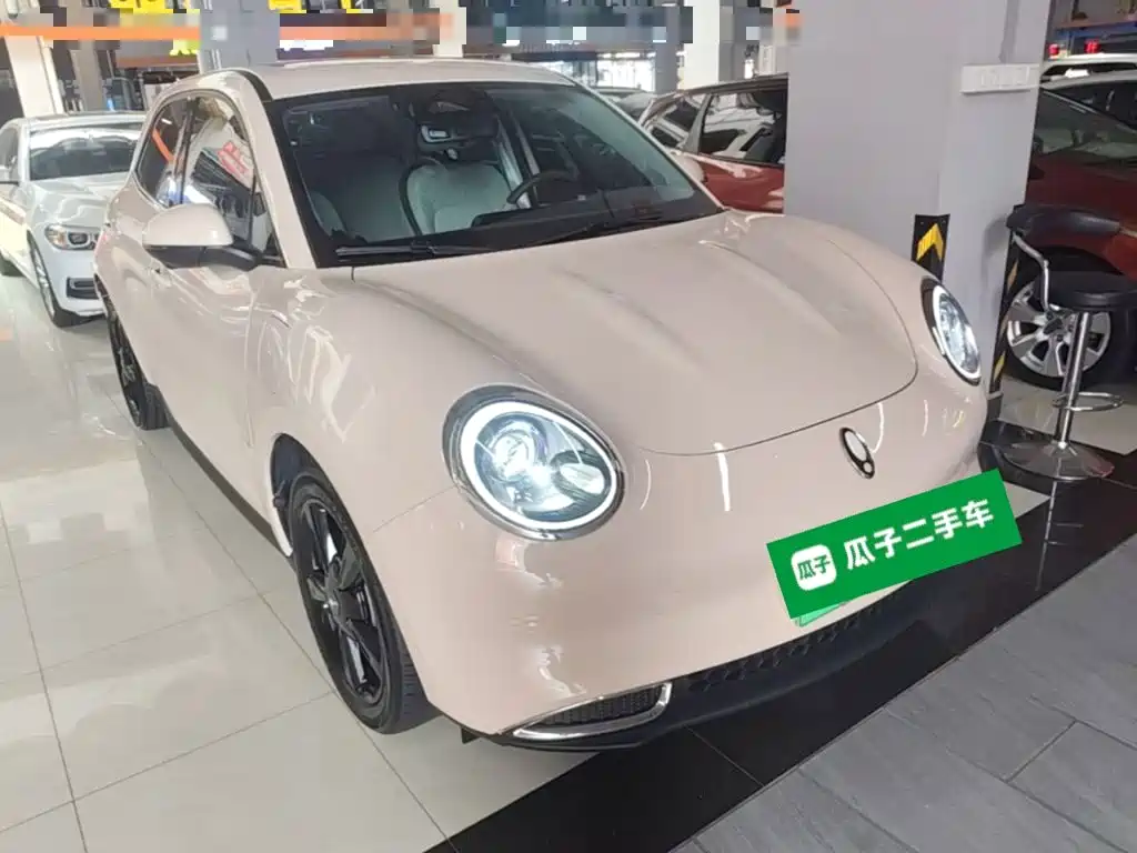 Ora Good Cat 2025 2024 401km Luxury