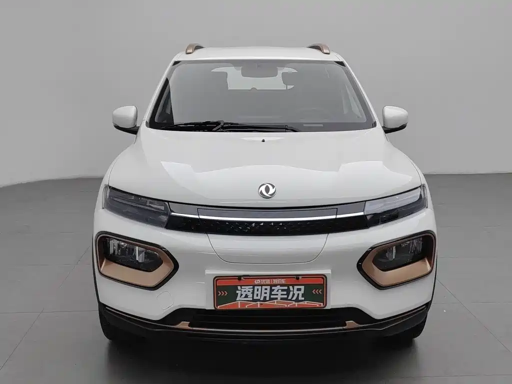 Dongfeng Yipai Nano BOX 2023 2022 Wind Chaser Edition 331KM Standard