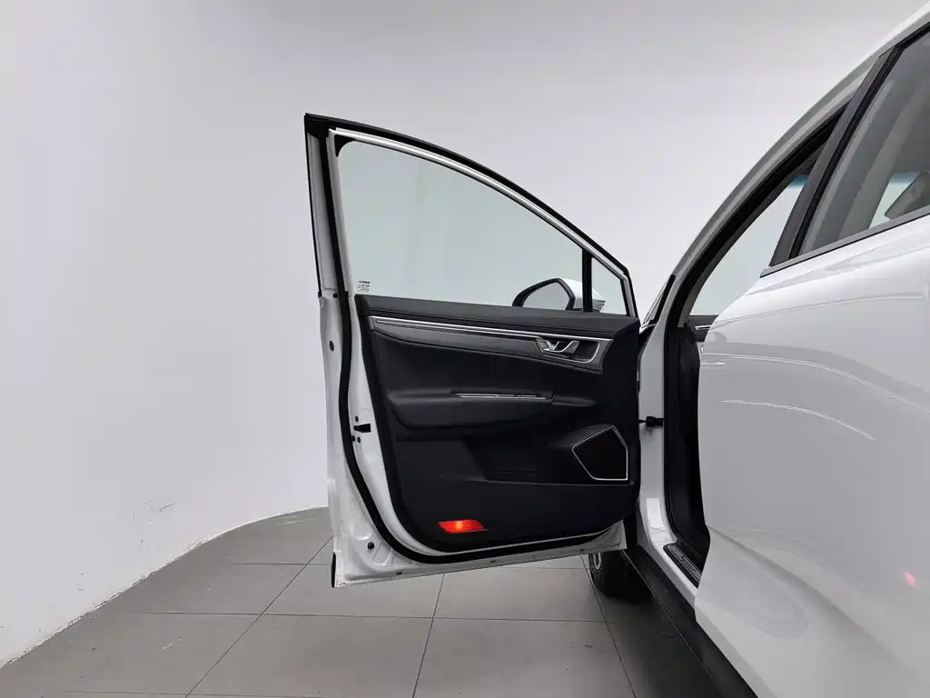 Geely Emgrand GS 2020 2019 1.4T CVT Dynamic
