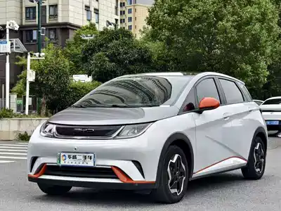 BYD Dolphin