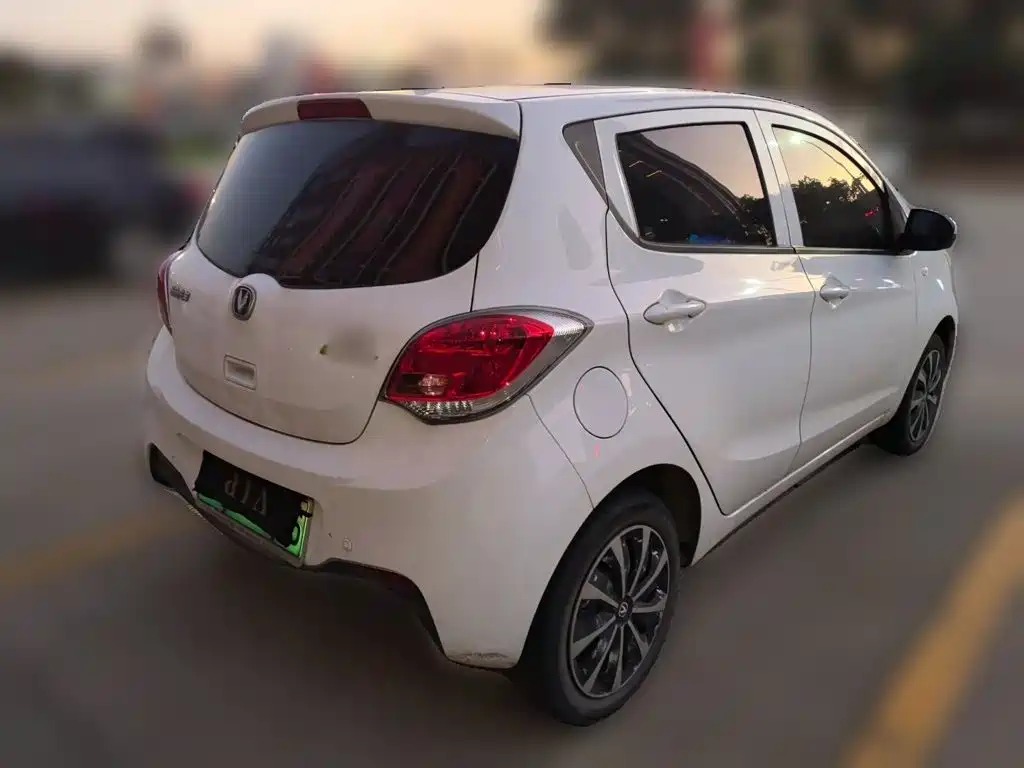 Фото 4 - Changan Benben E-Star