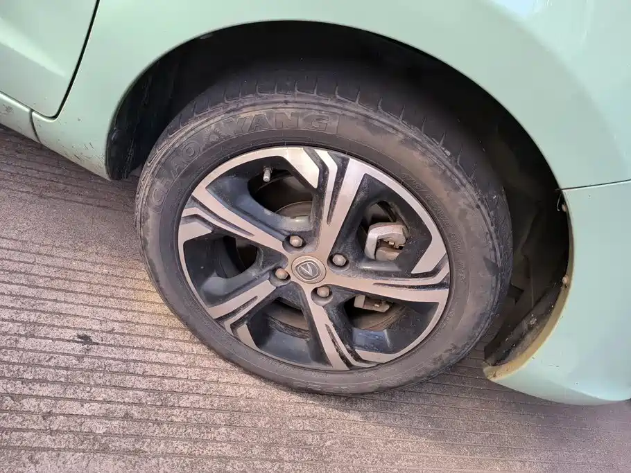 Changan Benben E-Star 2022 2022 Appreciation Edition Colorful LFP