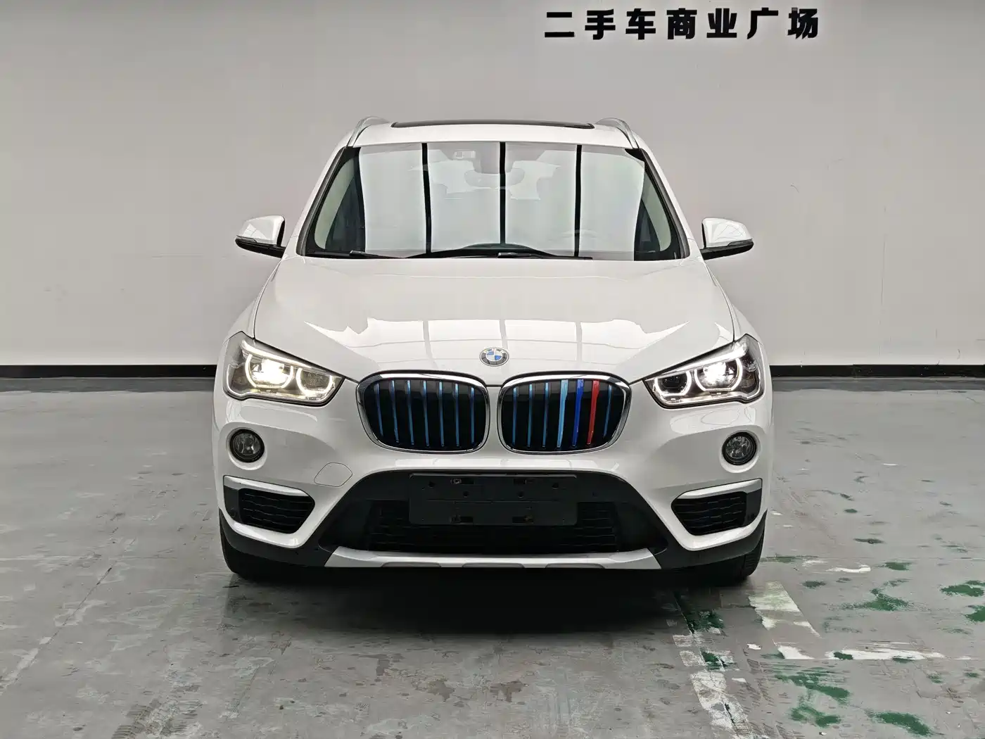 BMW X1 New Energy 2018 2019 xDrive25Le Luxury