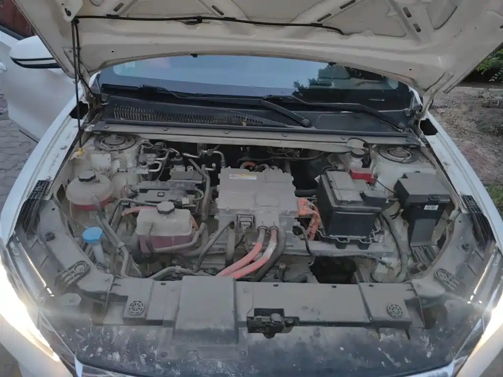 BYD e2 2019 Standard Range Intelligent Comfort фото 17