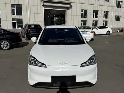 Neta V