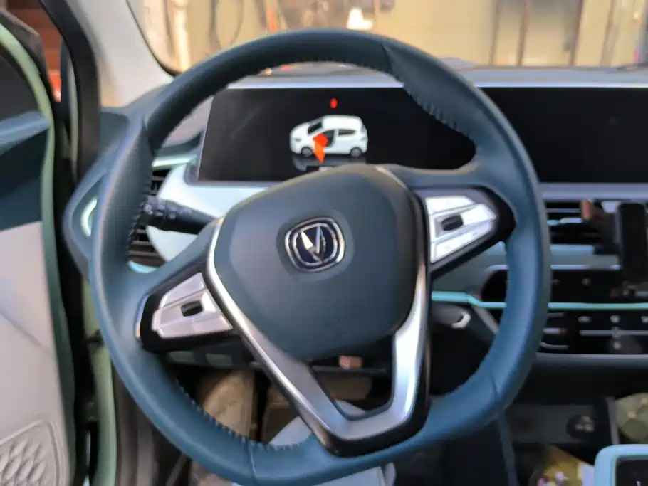Changan Benben E-Star 2022 2022 Appreciation Edition Colorful LFP