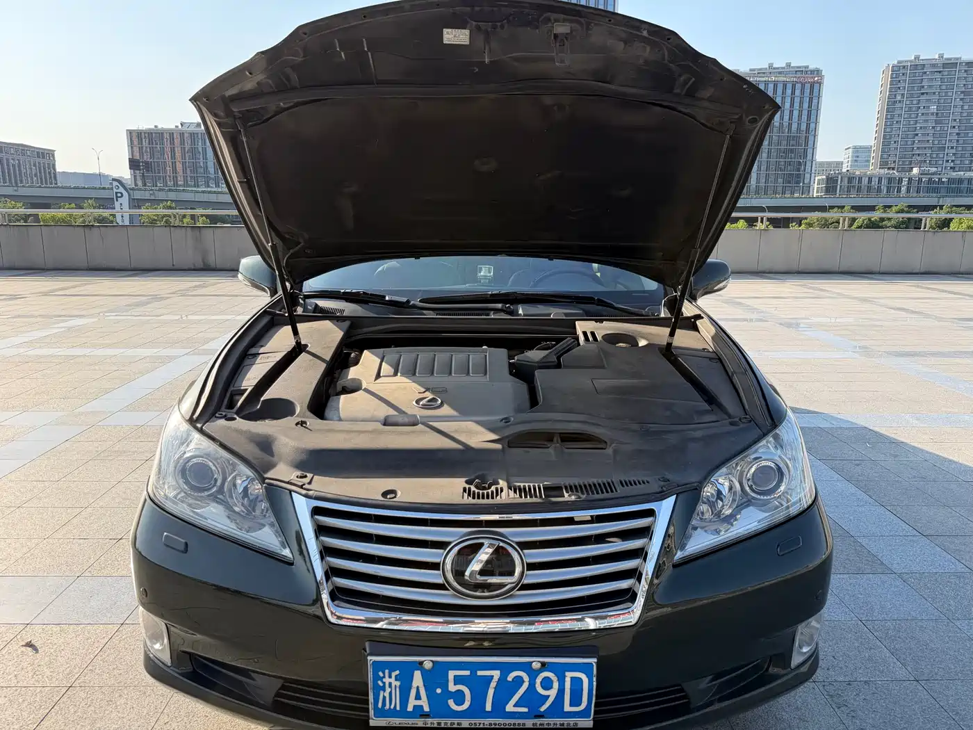 Lexus ES 2010 350 Elegance Edition фото 21