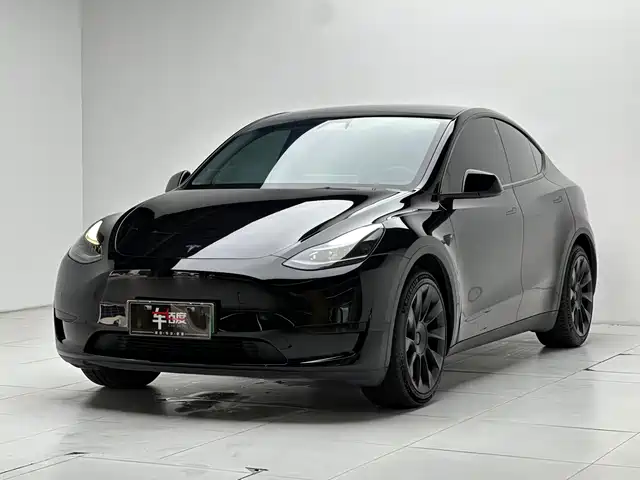 Tesla Model Y Задний привод