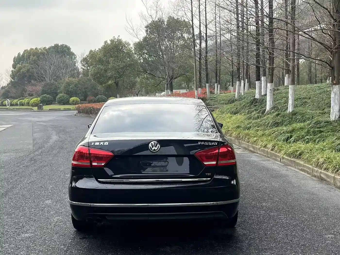 Volkswagen Passat 2015 1.8TSI DSG Prestige Edition фото 7