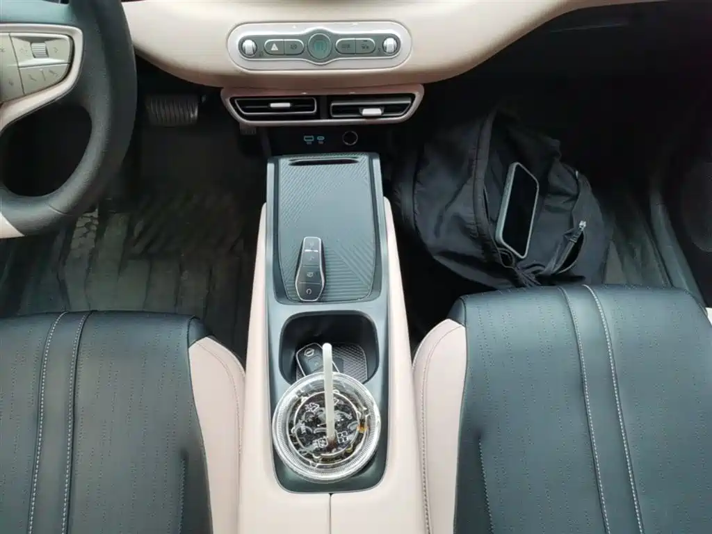 BYD Seagull 2025 Smart Drive Edition 305km Vitality Version фото 14