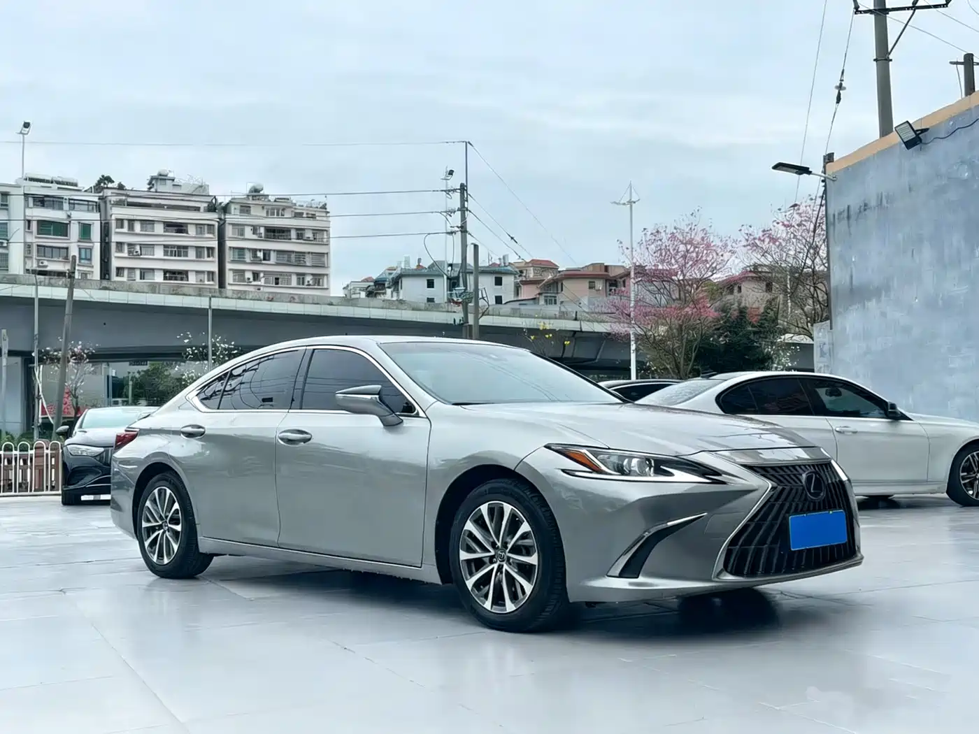 Lexus ES 2022 300h Excellence Edition фото 4