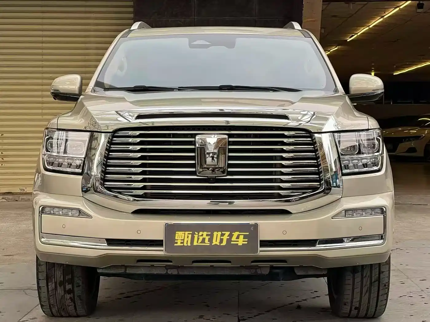 Tank 500 2023 3.0T Business Edition (5-seater) фото 2