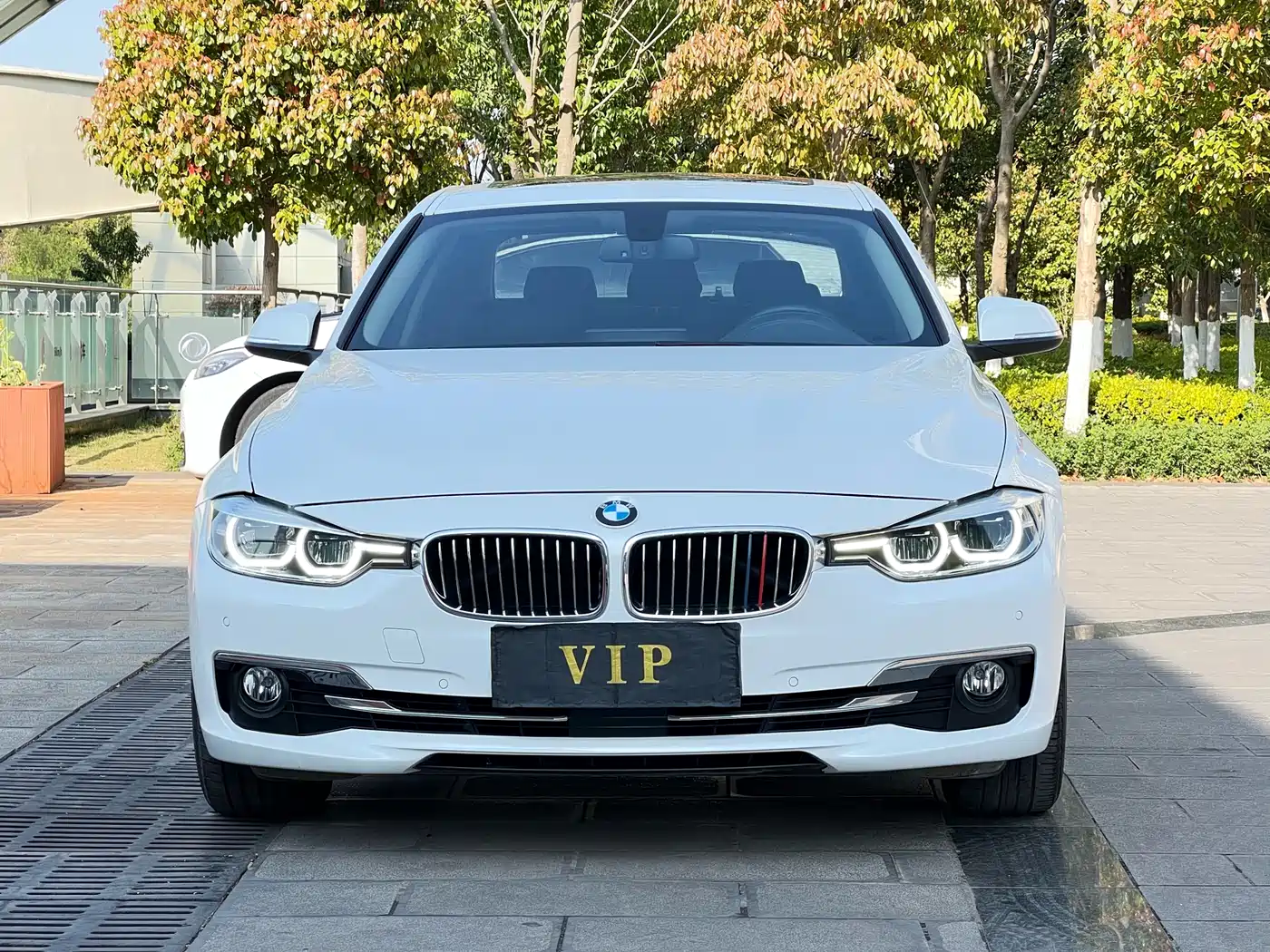 BMW 3 Series 2018 320Li Leading Luxury Package фото 6