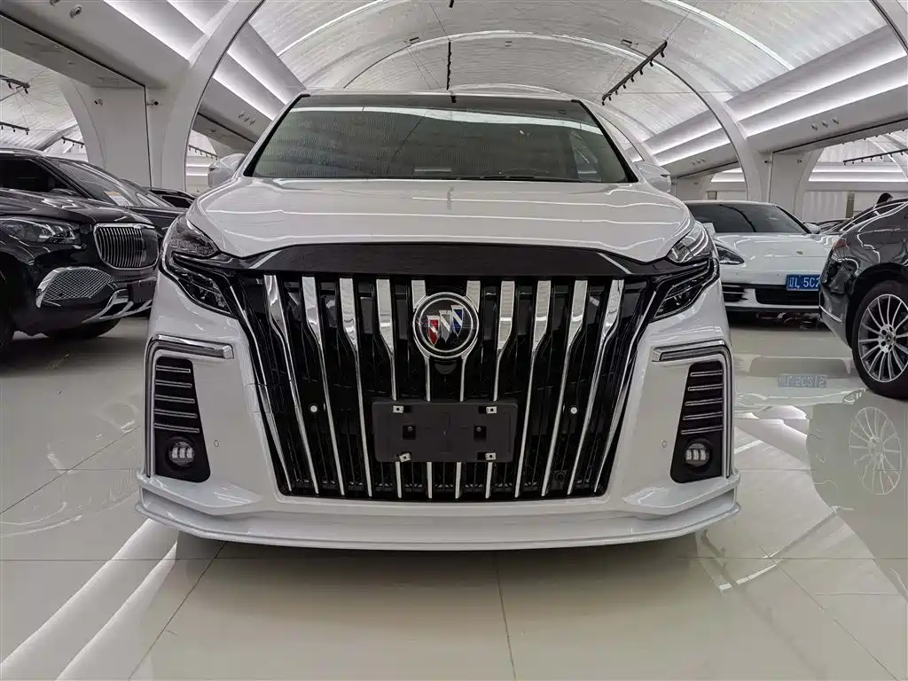 Buick GL8 2022 ES Landmark 653T Premium фото 2