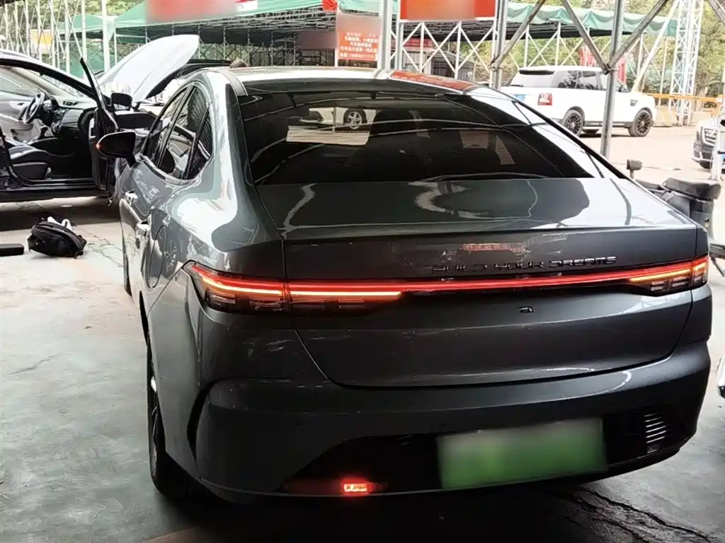 BYD Destroyer 05 2024 Glory Edition DM-i 55KM Luxury фото 5