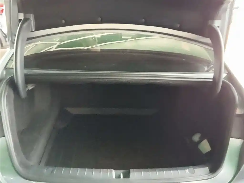 BYD Destroyer 05 2024 Glory Edition DM-i 55KM Luxury фото 19