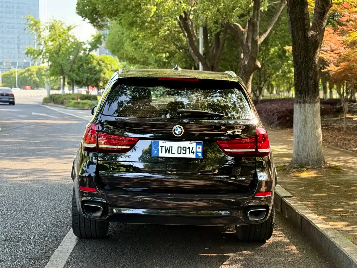 BMW X5 (Import) 2018 xDrive35i M Sport Model фото 11