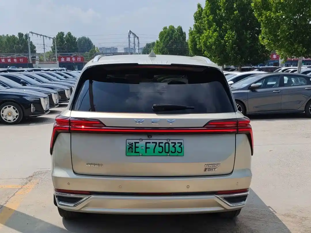 WEY Lanshan 2023 2023 AWD Ultra Long Range Edition