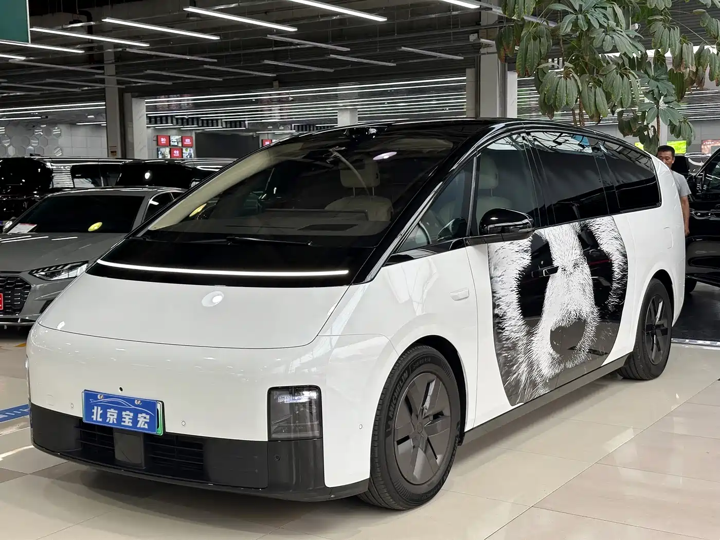 Li Auto MEGA 2025 Model Home Family Special Edition