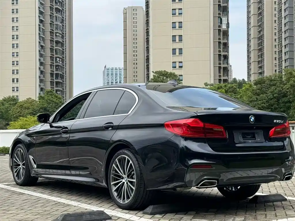 BMW 5 Series 2020 530Li Exclusive M Sport Package фото 9