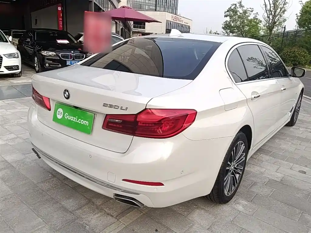 BMW 5 Series 2018 Facelift 530Li Exclusive Luxury Package фото 7