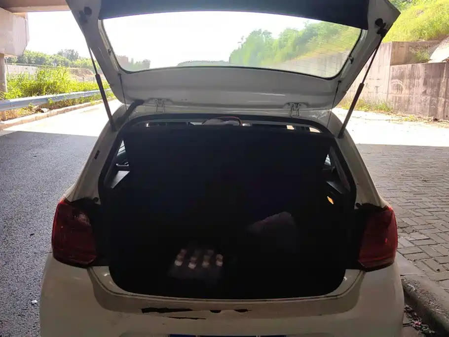 Volkswagen Polo 2016 1.4L Manual Trend фото 4