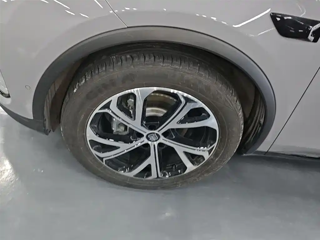 BYD Tang New Energy 2025 Smart Driving Edition DM-i 115KM Flagship фото 23