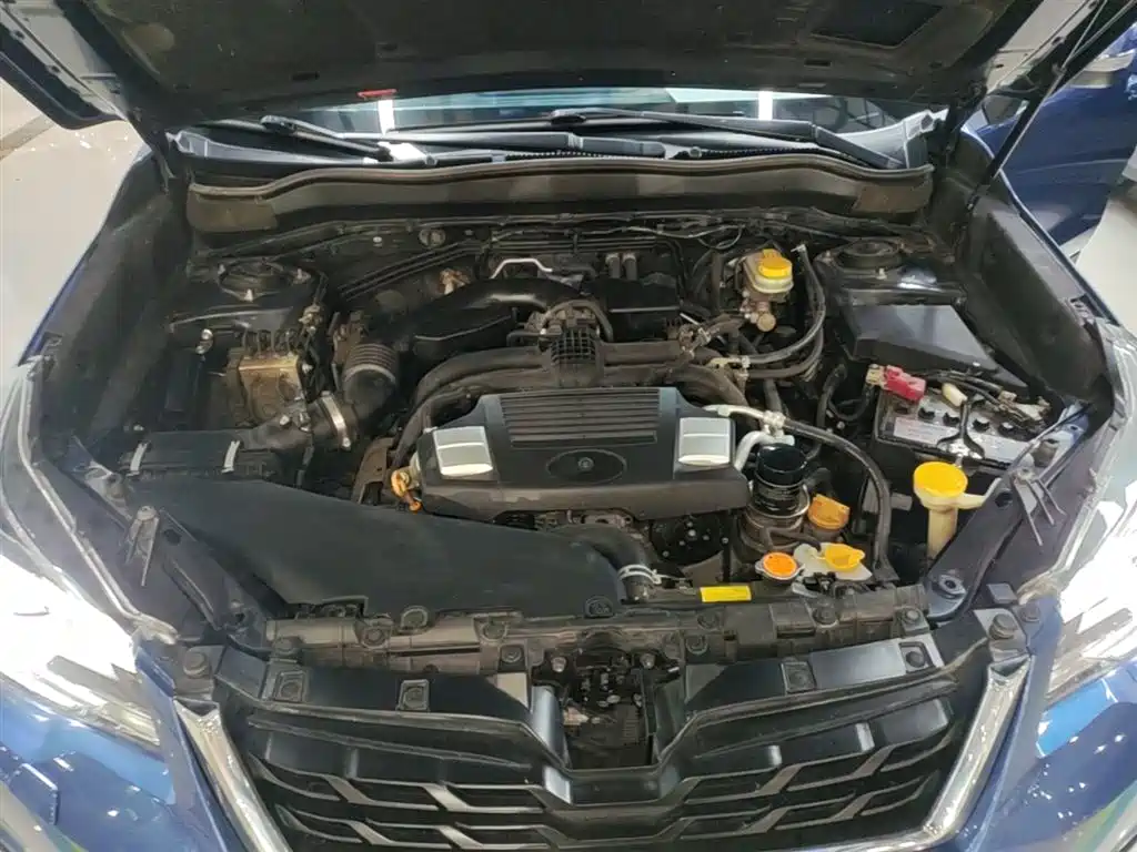 Subaru Forester 2018 2.5i Luxury Navigation Edition фото 20