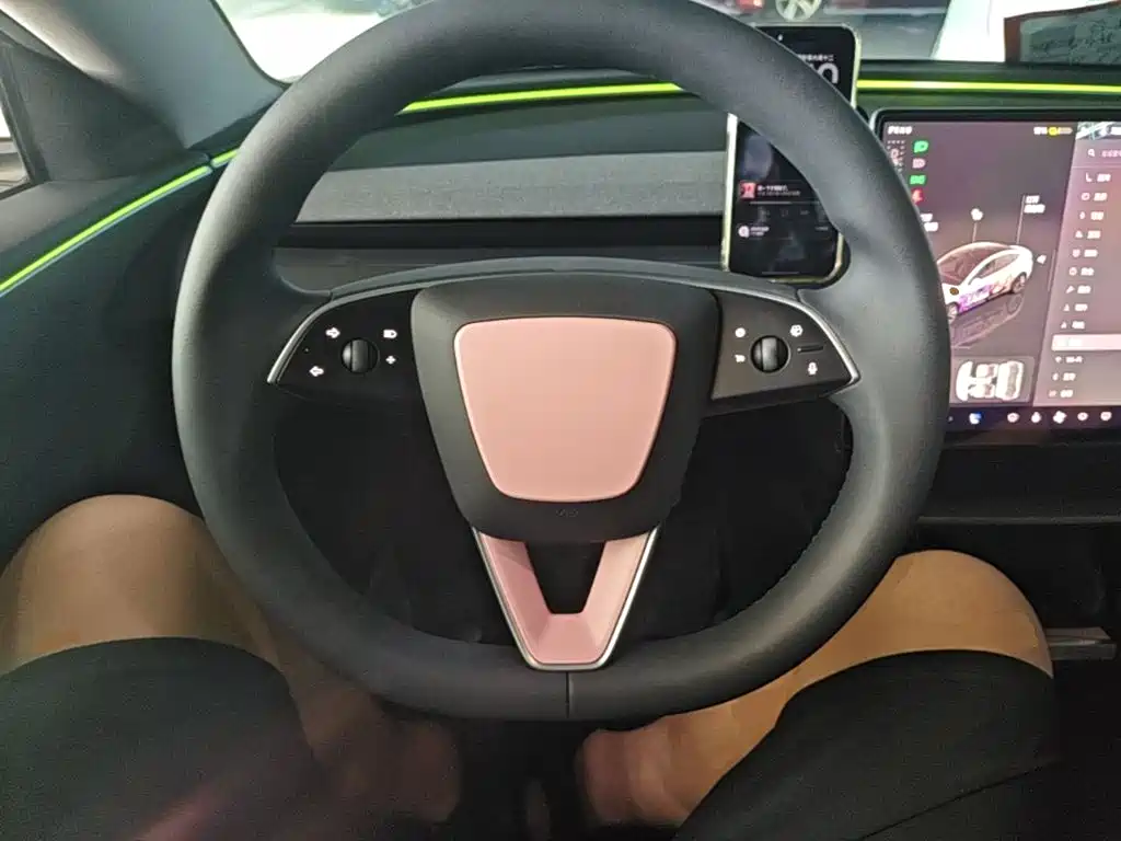 Tesla Model 3 2025 2025 Model Rear-Wheel Drive Edition