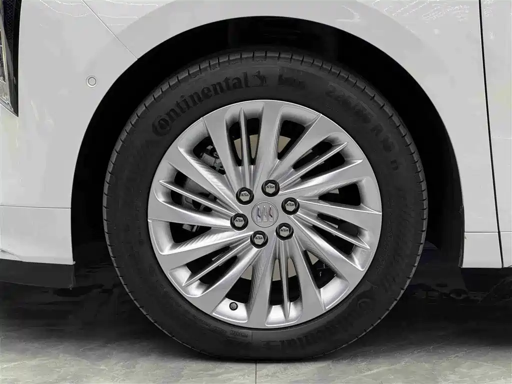 Buick Century 2025 2.0T 7-Seater World Edition фото 4
