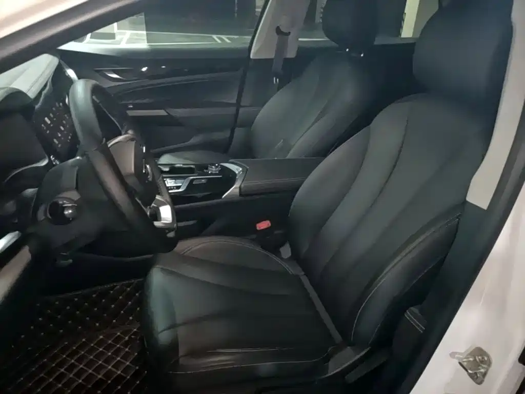 Geely Borui PHEV 2021 2021 1.5T ePro Leading Edition