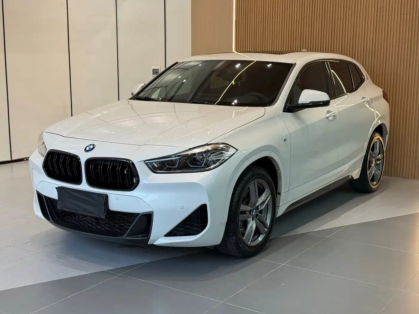 BMW X2 2020 sDrive25i Leading M Sport Package