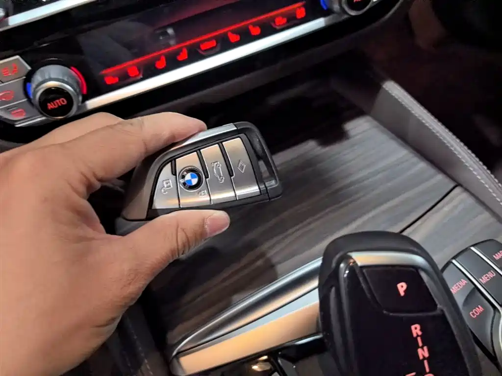 BMW 5 Series 2022 Facelift II 530Li Luxury Trim Premium Package фото 9