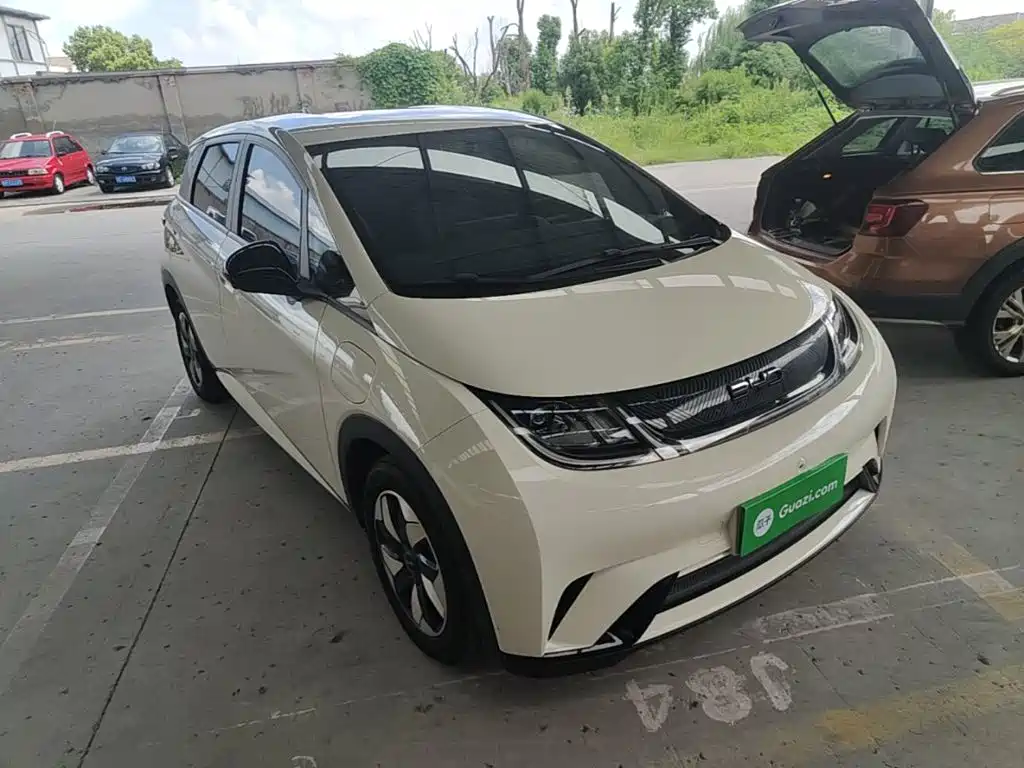 BYD Dolphin 2025 2025 420km Freedom Edition