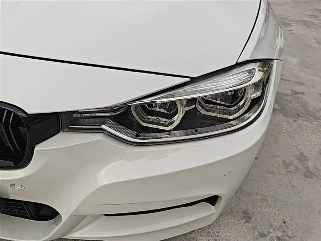 BMW 3 Series 2019 320Li M Luxury Package фото 23