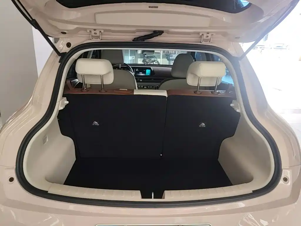 Ora Good Cat 2025 2024 401km Luxury