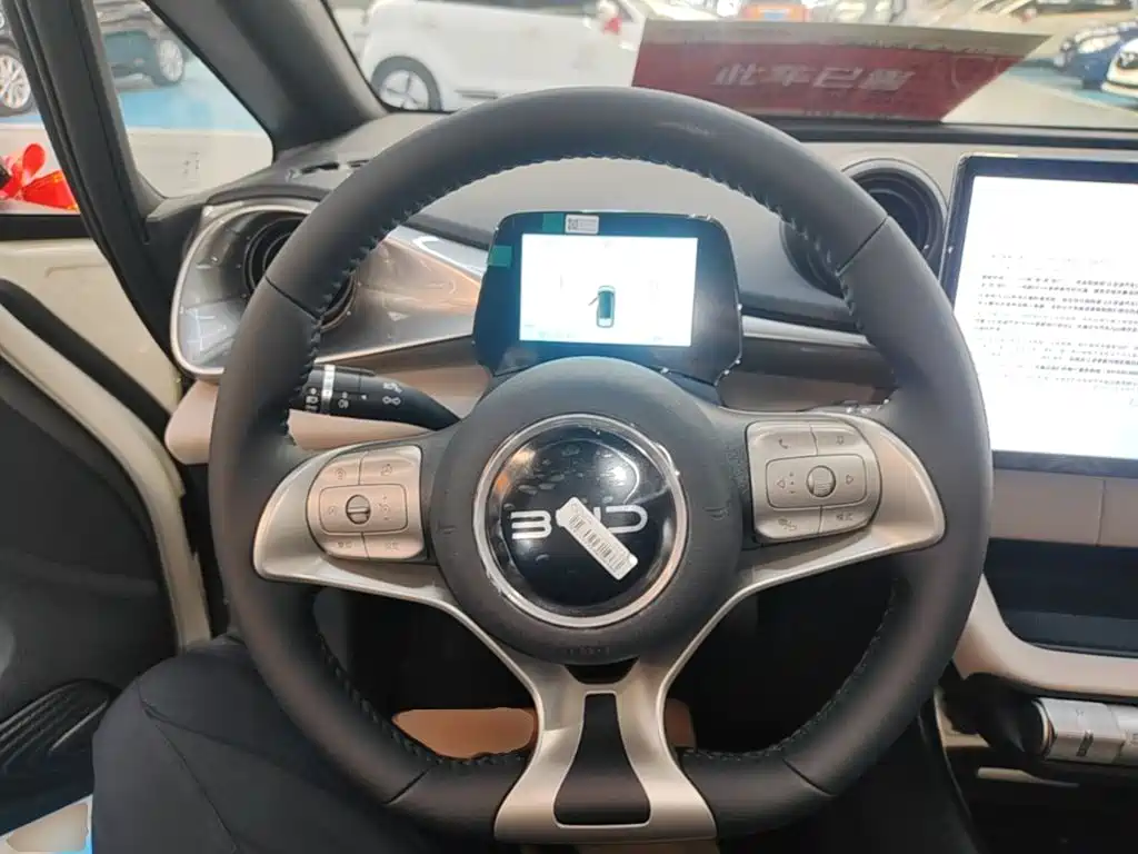 BYD Dolphin 2026 2025 420km Freedom Edition