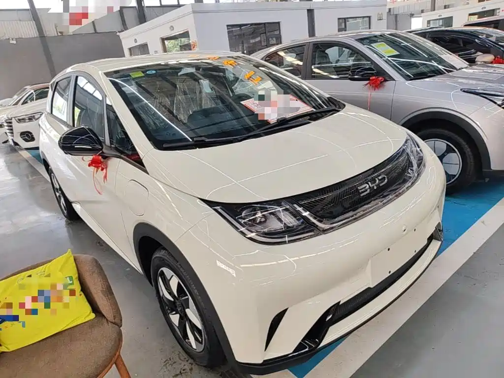 Фото 4 - BYD Dolphin