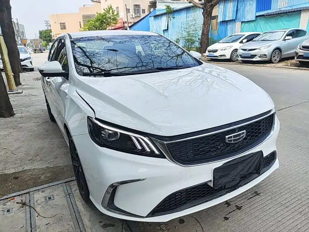 Фото 4 - Geely Binrui