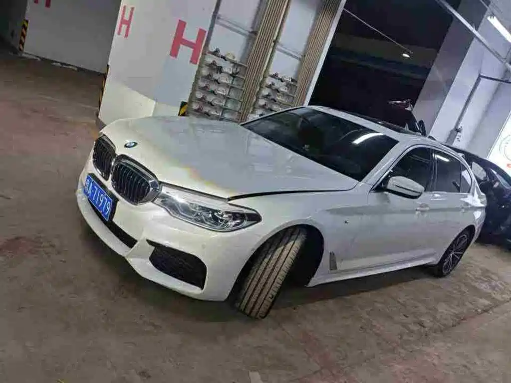 BMW 5 Series 2020 530Li Exclusive M Sport Package