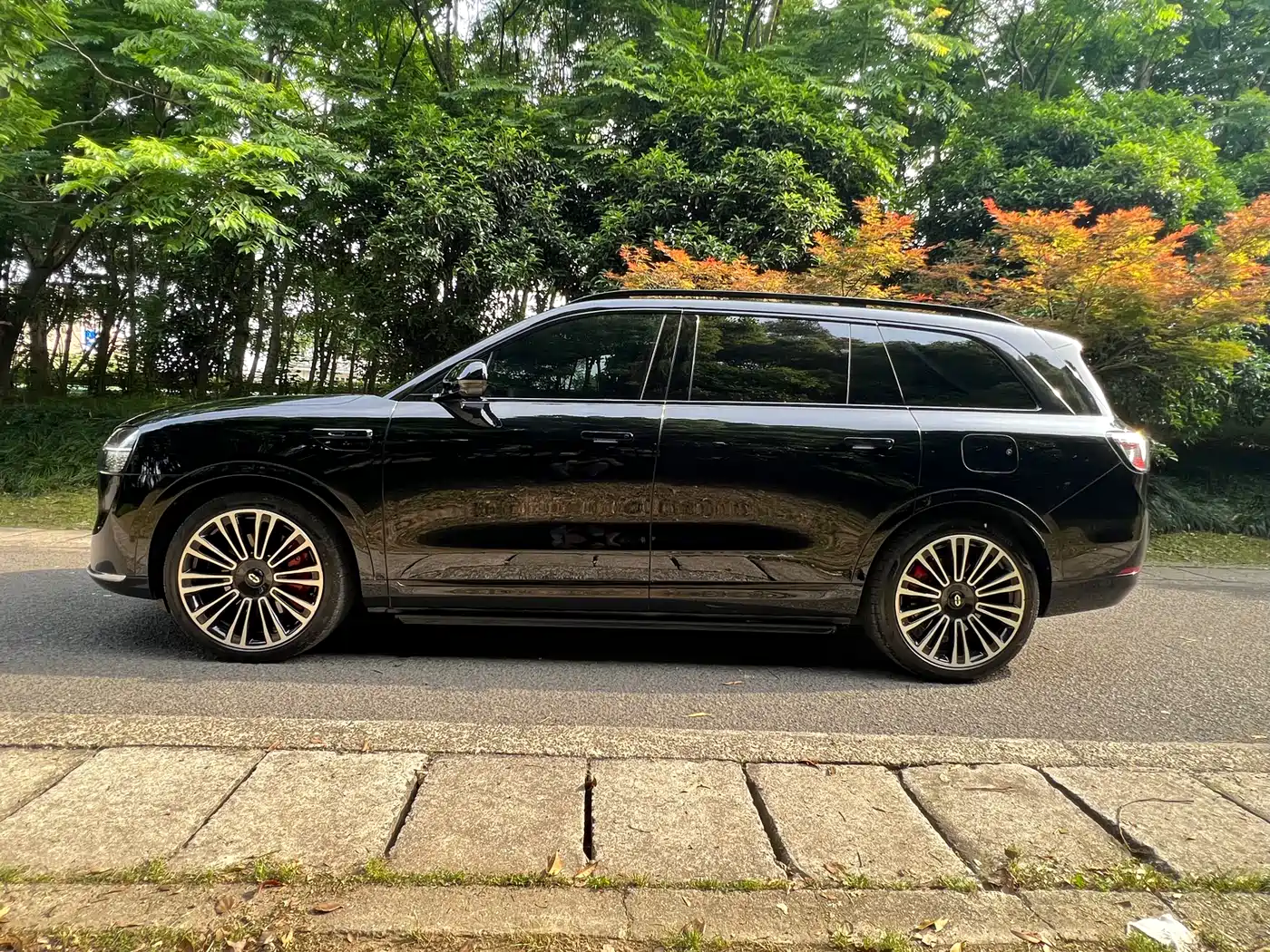 AITO Wenjie AITO M9 2024 Extended Range Ultra 42kWh 6-Seater фото 9