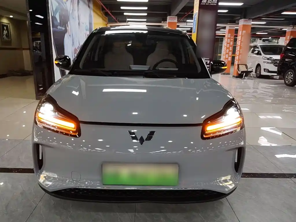 Wuling Motors Wuling Binguo PLUS 2025 2024 510km Range 5-seater