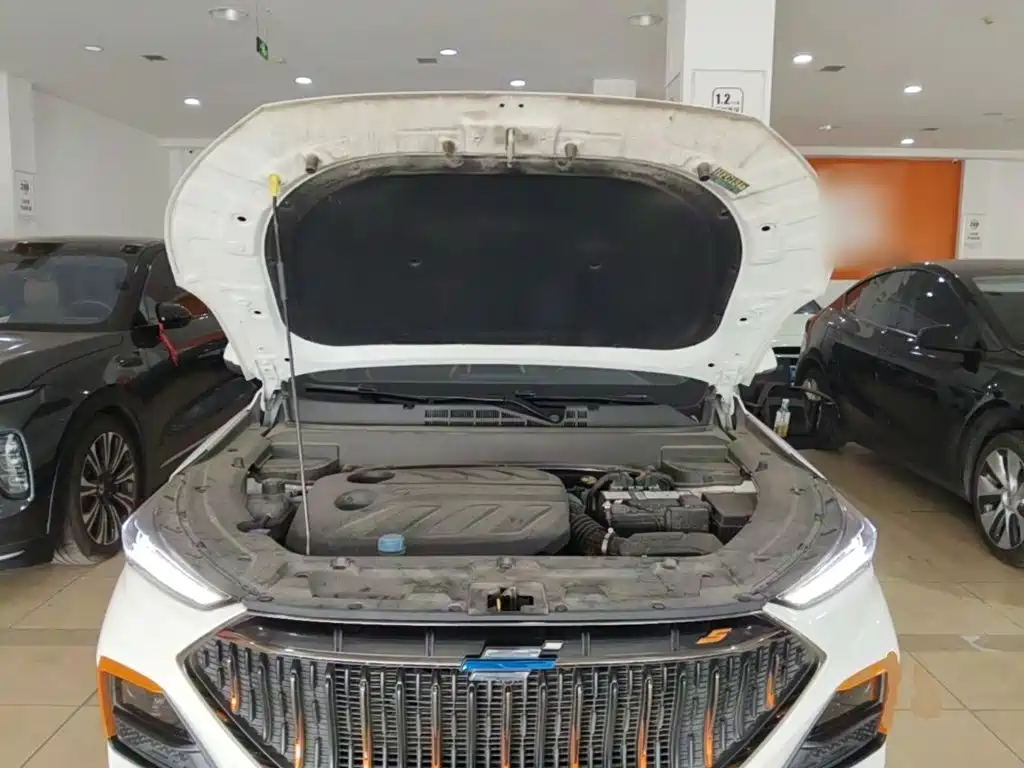 Changan Oshan Changan Oushang X5 2022 2022 Sport Edition 1.5T DCT Whirlwind Charge