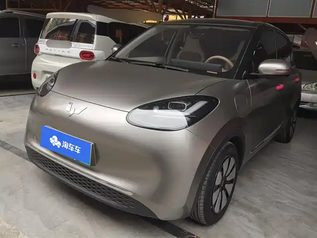 WULING WULING BINGGUO