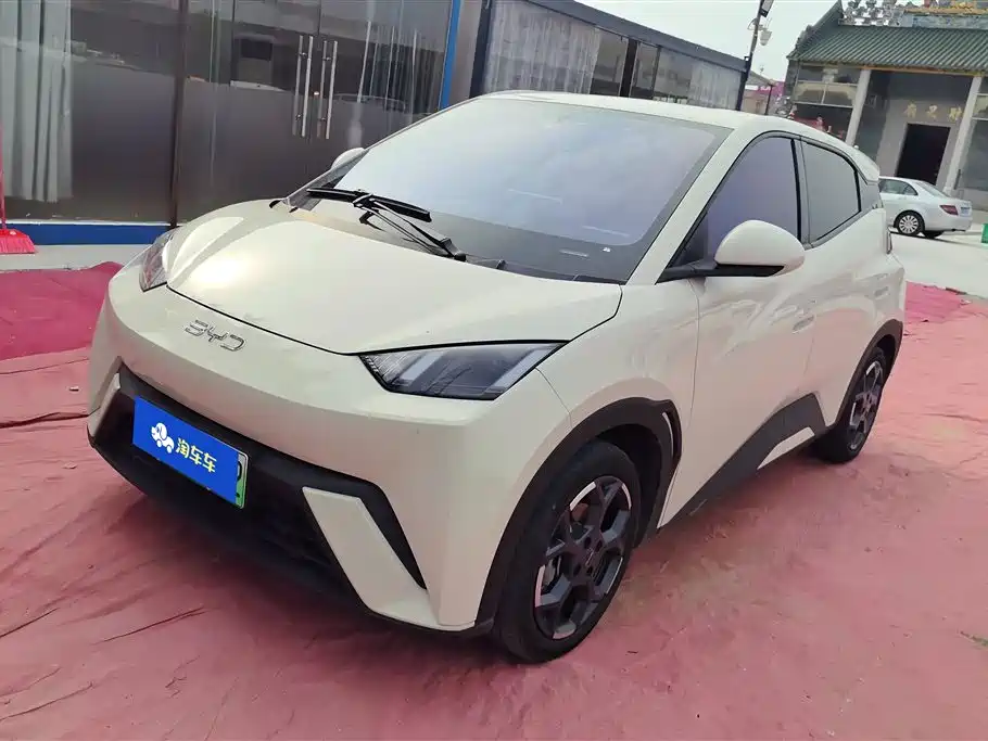 BYD Seagull 2024 Glory Edition 305km Freedom Edition
