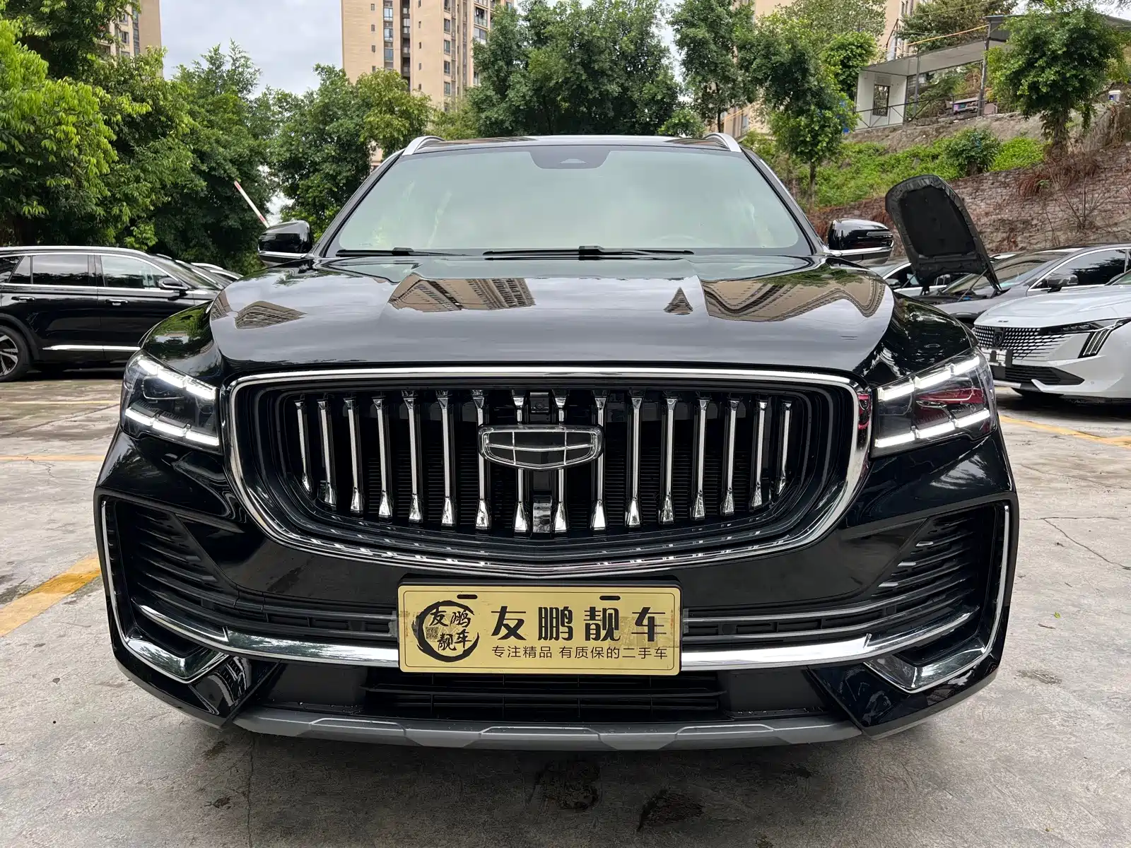 Фото 2 - Geely Monjaro