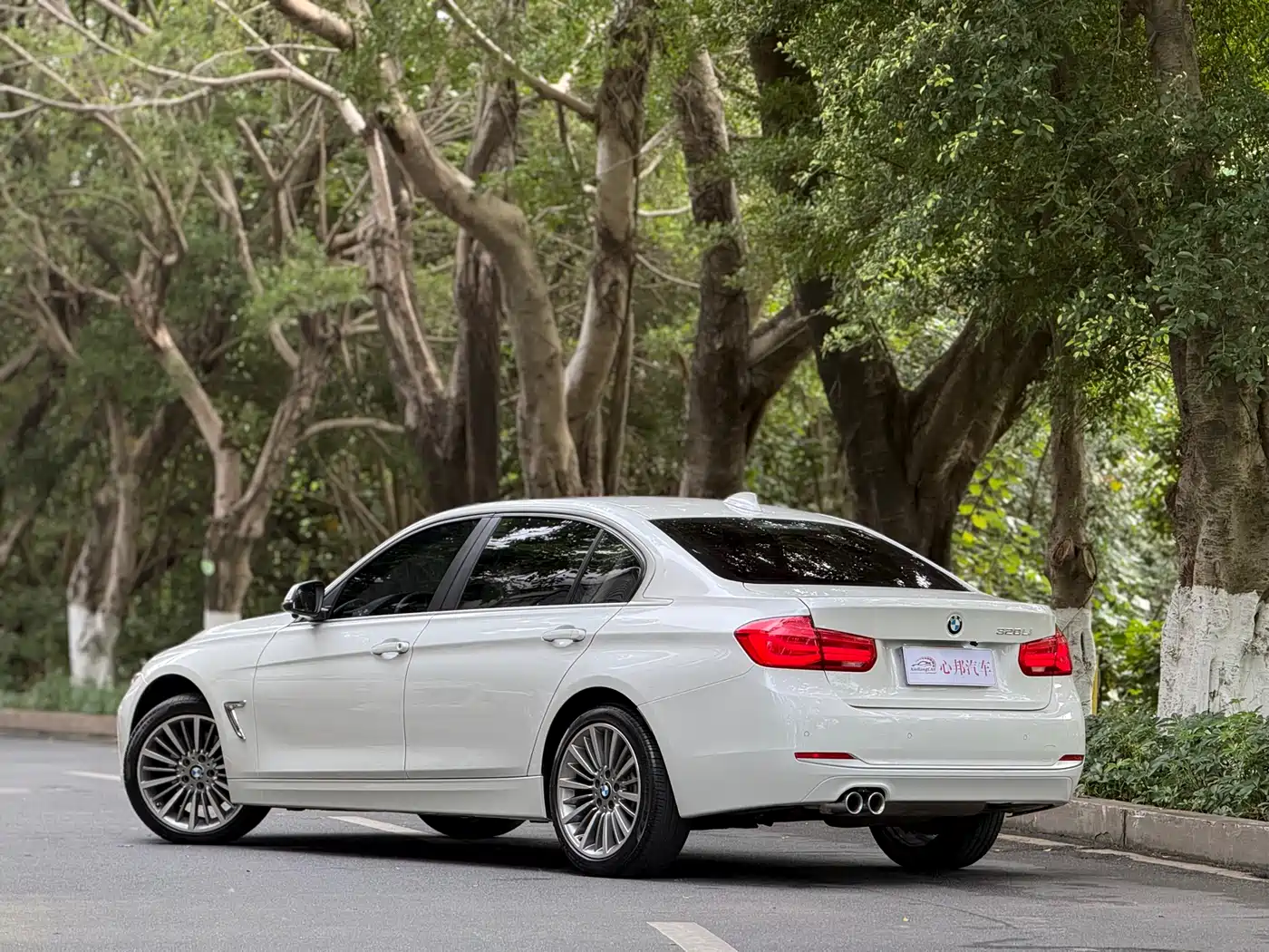 BMW 3 Series 2019 320Li Fashion Type фото 23